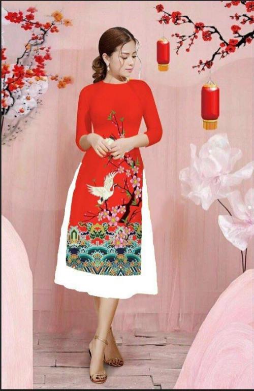 SET ÁO DÀI CÁCH TÂN TẾT SANG TRONG- AV399